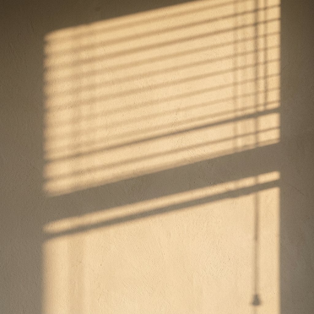 Soft, warm light falling across a wall